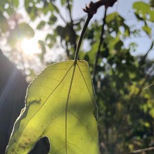 《孤魂野鬼》词曲唱 赵鑫