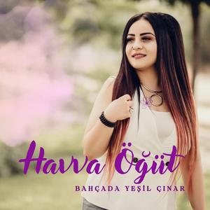 Bahçada Yeşil Çınar