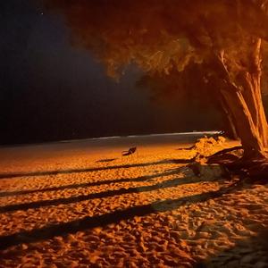 From The Start (Jerk Remix)