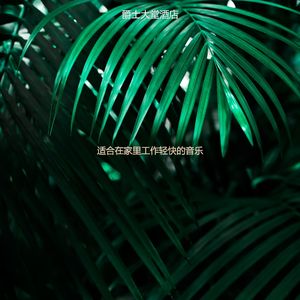 适合正在学习优秀的音乐