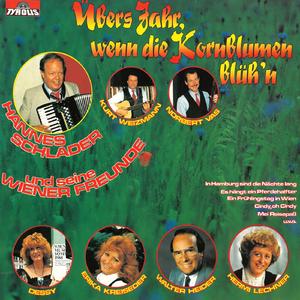 Unter der roten Laterne von Sankt Pauli