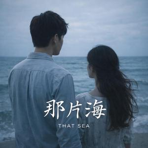 那片海