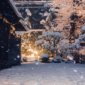 万物生长，生生不息