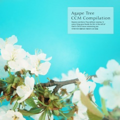 담대하게 걸어가리