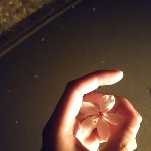 王愚-雪人（Humble remix）