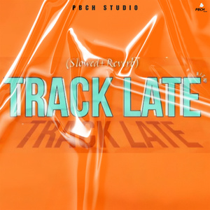 TRACK LATE (Slowed & Reverb Version)