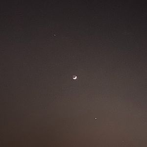 春
