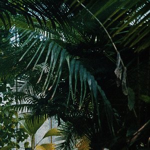 the shadow of your smile :3