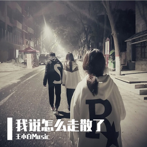 我说怎么走散了（口白）