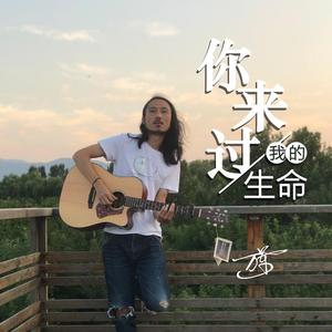 你来过我的生命