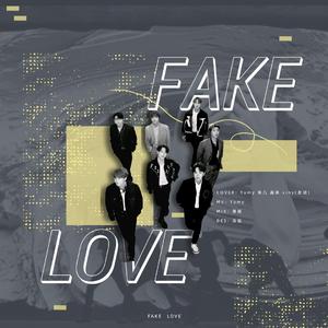 虚假的爱（翻自 阿米）