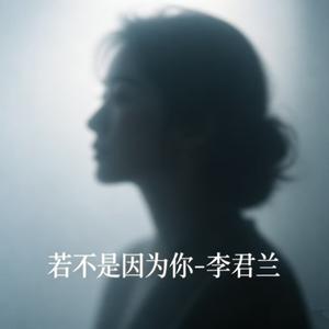 若不是因为你