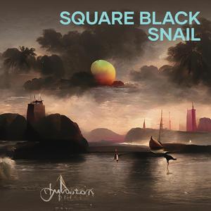 Square Black Snail