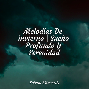 Disciplina De Entrenamiento