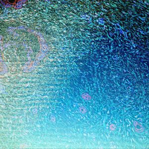 Jammin in the Summertime Shade