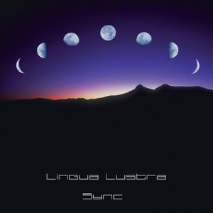 Festivity (Original Mix)