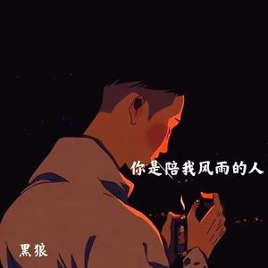你是陪我风雨的人