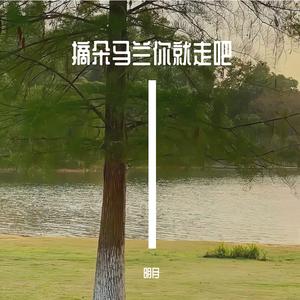 摘朵马兰你就走吧