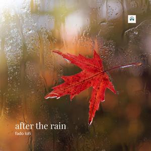 after the rain