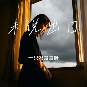 未说出口