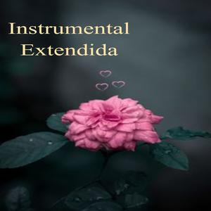 Mejora El Desempeño Cognitivo