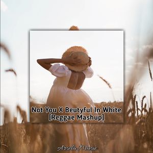 Not You x Beutyful In White - Reggae Mashup (Remix)