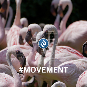 미안하지만 나는 너 같은 수준과 어울릴 수 없어