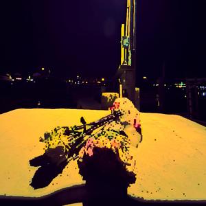 Vacant