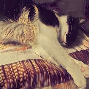 Aftershock＆Juice Remix