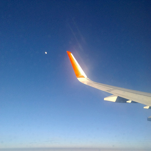 Flay To The Sun.