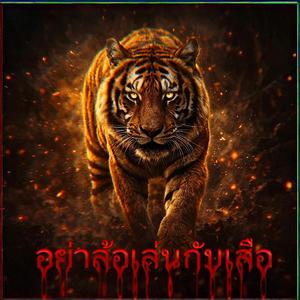 อย่าล้อเล่นกับเสือ