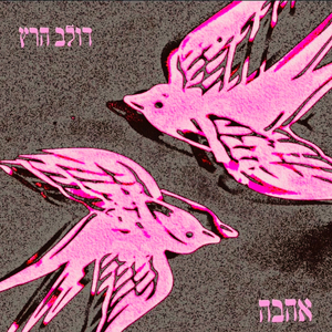 אהבה