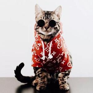 佳丽三千太美丽