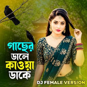 গাছের ডালে কাওয়া ডাকে | Gaser Dhale Kaowa Dhake (Special Dj Version)