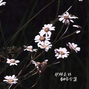 徐秉龙-浪漫宇宙的核心（护林员 remix）