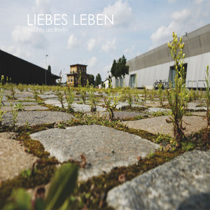 Hauptsache der Hund lebt