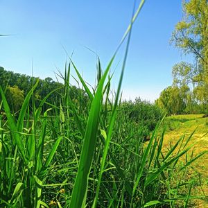 所谓的美好（纯音乐）