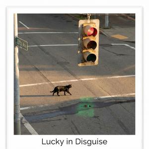 Lucky in Disguise