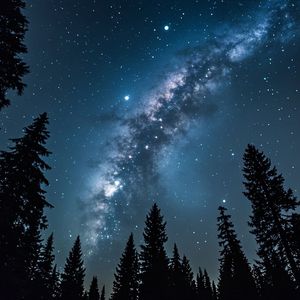 星尘耕录