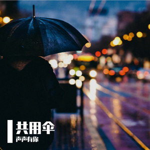 共用伞
