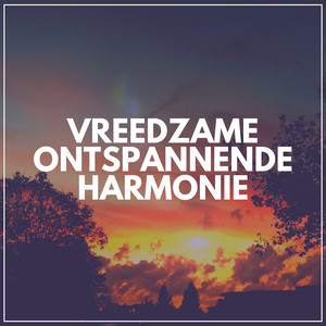 Dansende dromen Ambient Muziek voor de Slaap, Pt. 9