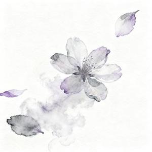 春风不懂我伤悲 (陈安可 & Ehan Remix)