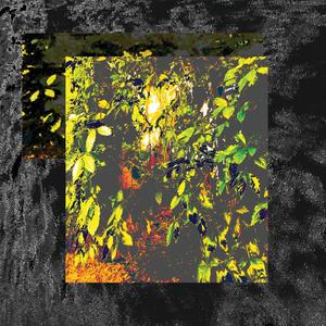 Sacando los tambores