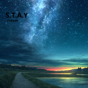 STAY