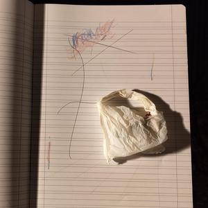 introduction and landscapes