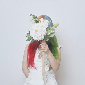 アルケミラモリス