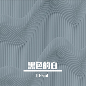 黑色的白