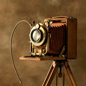 南方南方（翻自 张小九）