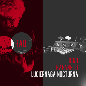 Luciérnaga Nocturna