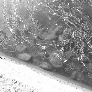 你在就好（inst.）